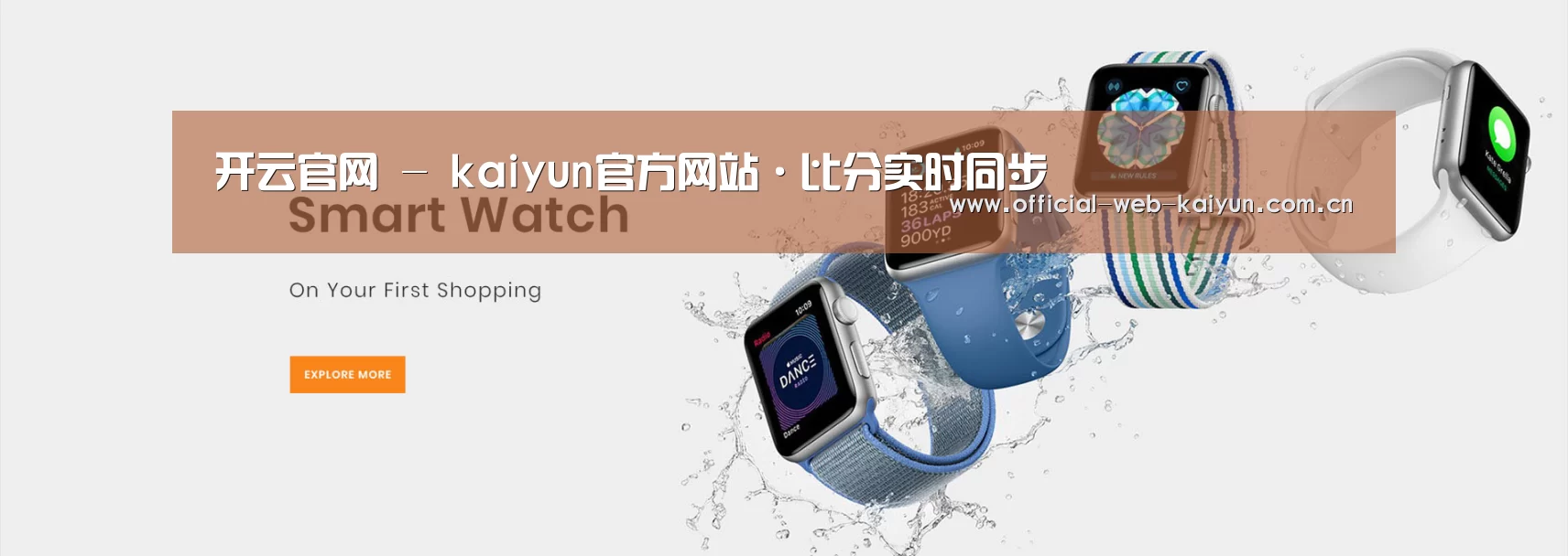 某某网络科技有限公司