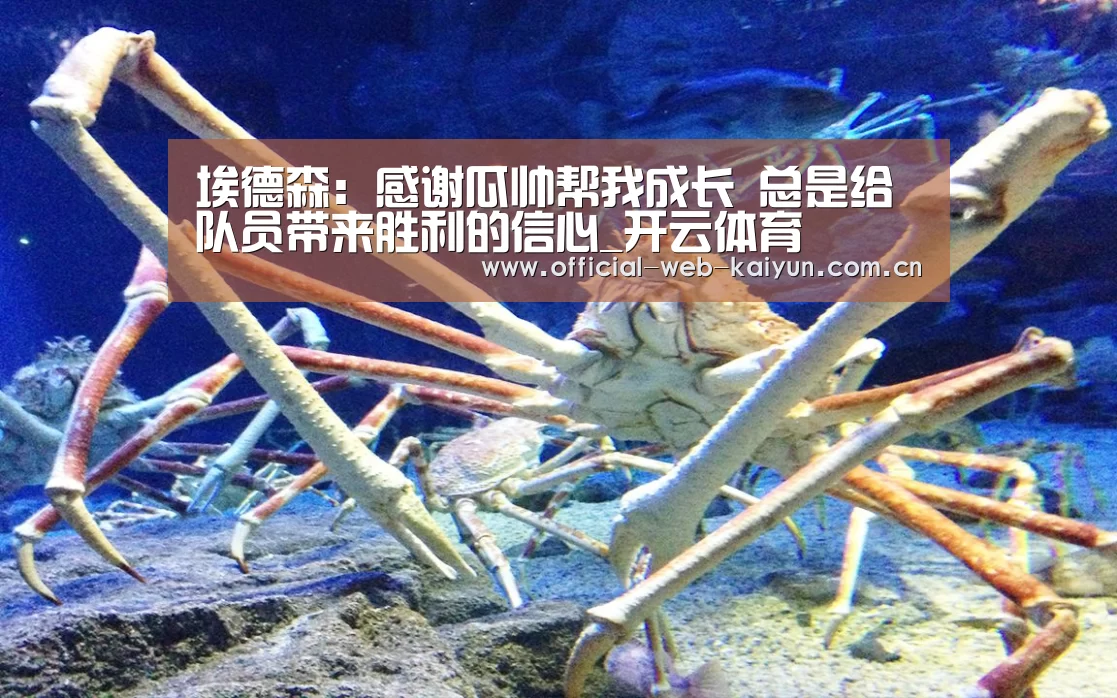 开云体育