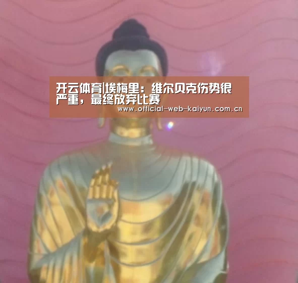 开云体育|埃梅里:维尔贝克伤势很严重,最终放弃比赛(图1) 开云体育