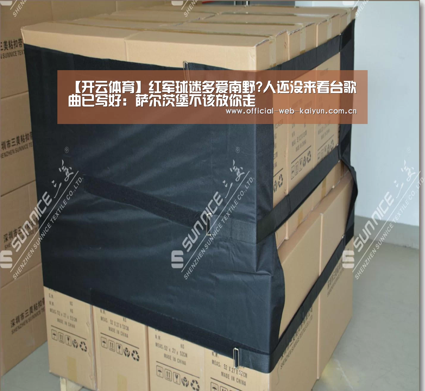【开云体育】红军球迷多爱南野?人还没来看台歌曲已写好: 萨尔茨堡不该放你走(图1) 开云体育